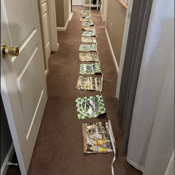 CORONA LITE PARTY banner - Picture 6 of 6